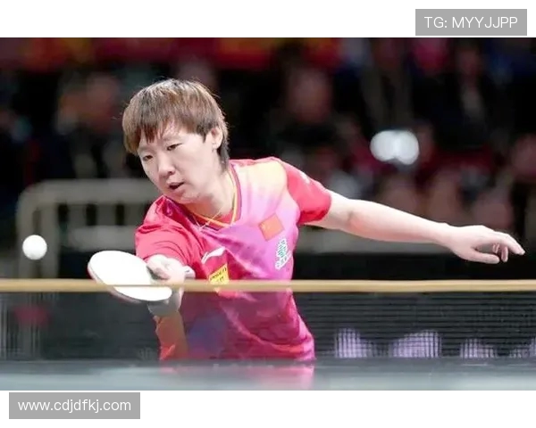 南京羽毛球队在选拔赛中以54分稳居积分榜首位展现强劲实力